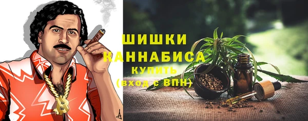 шишки Кинешма
