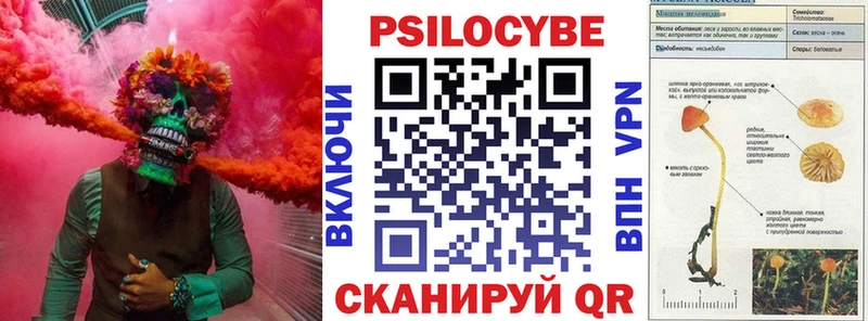 Галлюциногенные грибы мицелий  Купить  Липецк 